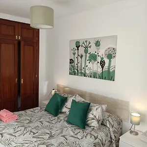  Apartment Apto Ana. Centro